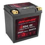 Banshee YTX30L-BS LIFEPO4 Battery For 2014 Harley Davidson FLHRSE6 Cvo Road King. Fixed Price $179.88.
