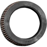 Rsd 0206-0126 Replacement Clarity Air Cleaner Kit Filter. Fixed Price $50.08.
