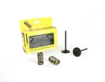 Pro-x Racing Kit Valve+spring KTM350, Prox 28.SIS6353-2 Intake. Fixed Price $227.00.