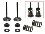 Psychic Intake Valve Kit. Fixed Price $91.95.