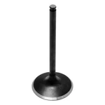 Kibblewhite 80-80872 Black Diamond Intake Valve Standard. Fixed Price $38.27.