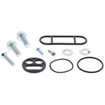 Parts Unlimited Fuel Petcock Repair Kit 0705-0407. Fixed Price $19.03.