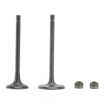 Engine Head Intake Exhaust Valves Seals For Honda CG250CC Atv Pit Dirt Bike Quad. Fixed Price $14.69.