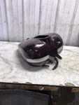 06 Harley Davidson Fltri Road Glide Gas Fuel Petrol Tank. Fixed Price $139.49.