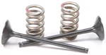 Pro 28.SES2414-1 Steel Valves And Spring Kits Exhaust. Fixed Price $155.95.