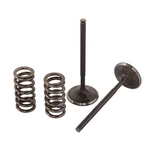 Pro 28.SES2414-1 Steel Exhaust Valve/spring Kit. Fixed Price $145.22.