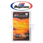 Boyesen Power Reeds For 1976-1978 Suzuki RM250 Fuel & Air Du. Fixed Price $28.02.
