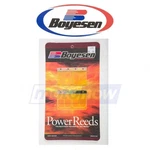 Boyesen Power Reeds For 1991 Husqvarna Wxe 260 - Fuel & Air Ta. Fixed Price $50.50.