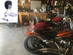 Skull Backrest Sissy Bar Luggage Rack 4 Harley Breakout Cvo Pro Street Fxse Fxsb. Fixed Price $138.00.