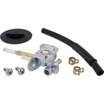 Balls Fuel Valve Kit For Yamaha FS101-0054. Fixed Price $61.70.