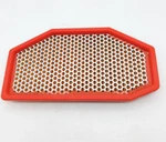 1994-2018 Triumph Speed Triple Oem Air Filter T2206602. Fixed Price $34.00.