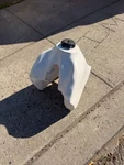 Honda XR650L Gas Tank. Fixed Price $160.00.