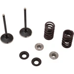 Moose Offroad Intake Valve Kit 0926-3192. Fixed Price $196.95.